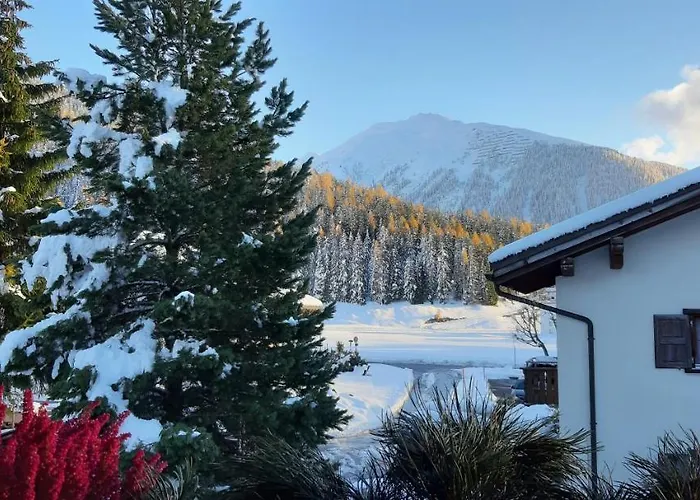 花丝住宿加早餐酒店 4*