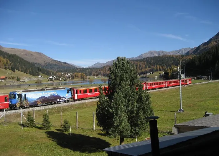 住宿加早餐酒店 花丝住宿加早餐酒店 4*