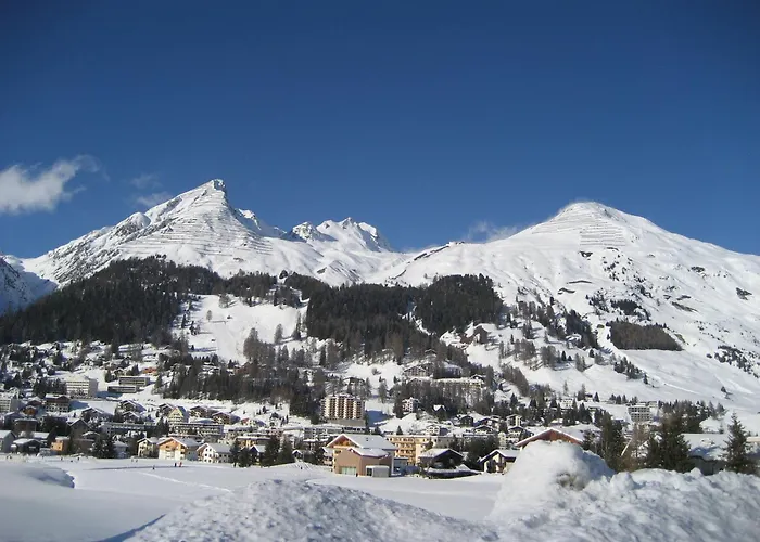 住宿加早餐酒店 花丝住宿加早餐酒店 达沃斯