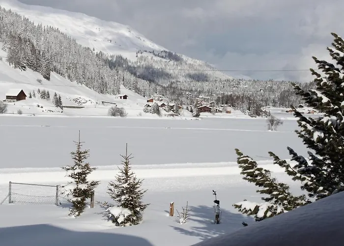 花丝住宿加早餐酒店 达沃斯